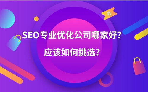 成都SEO优化哪家好？专业公司如何避坑指南